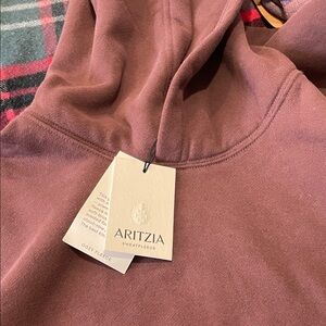Aritzia Sweatfleece Hoodie in Warm cocoa Brown - Med perfect condition